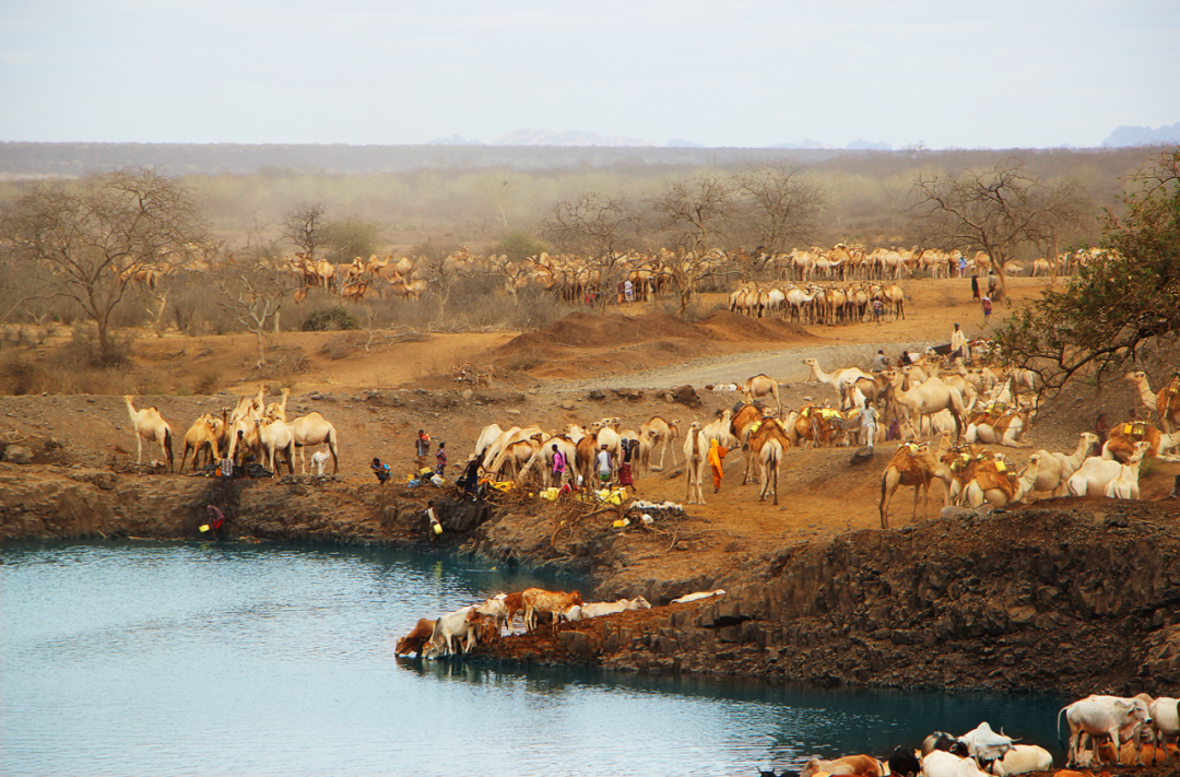 1711009773942955.png 1711009773942955.png